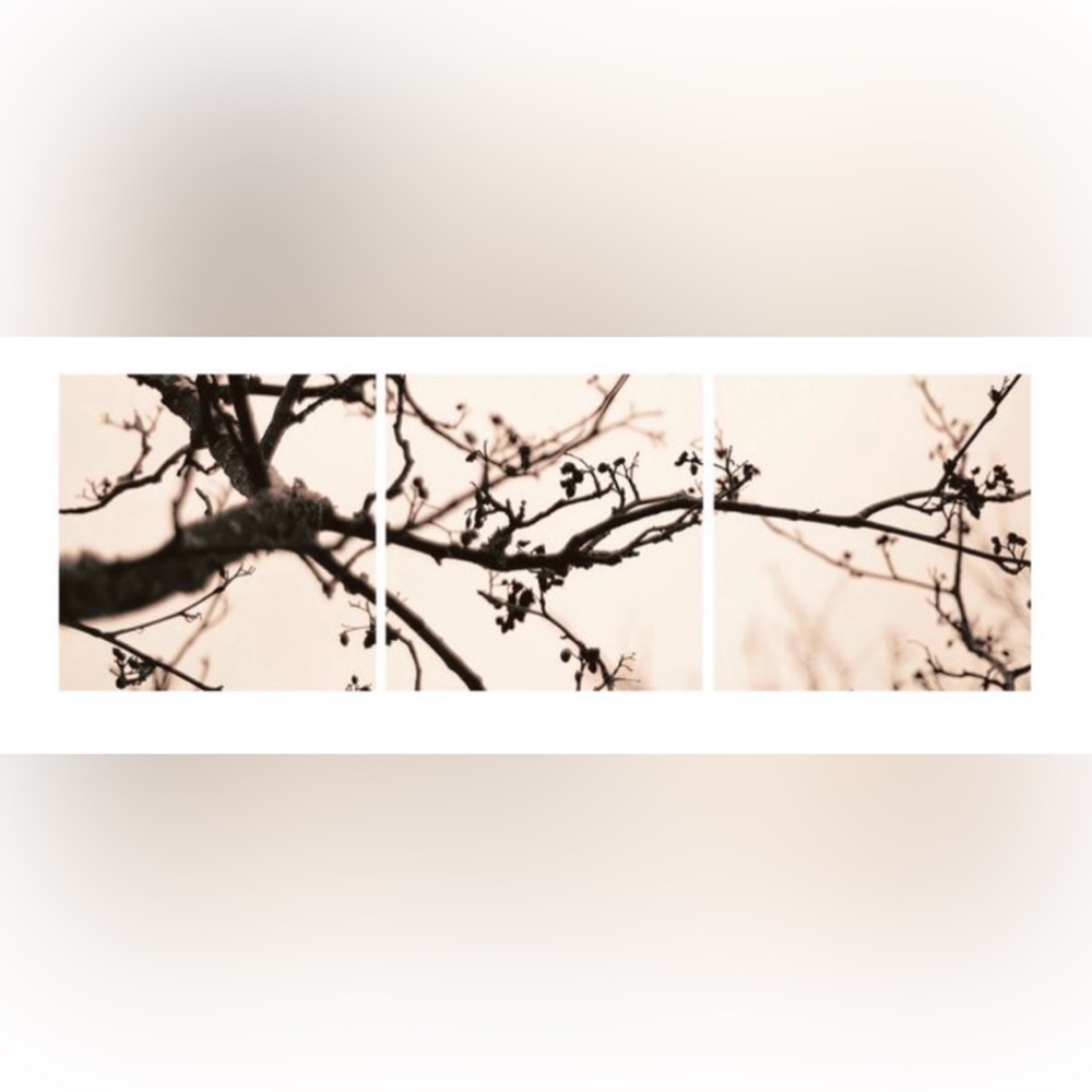 3 Panel Vinyl Nature Wall Art